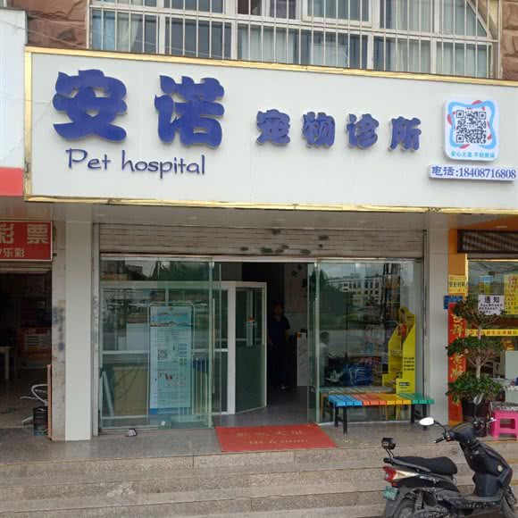 安诺宠物诊所:昆明市盘龙区人民东路附近