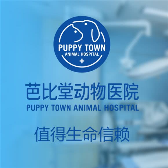 芭比堂动物医院(桥东分院):石家庄市裕华区国际城附近