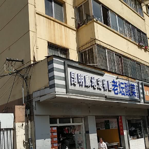 昆明康地宠物医院:昆明市盘龙区人民东路附近