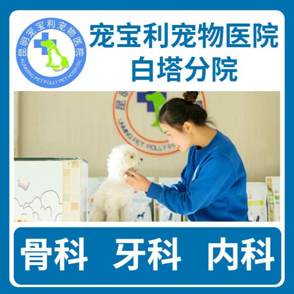 宠宝利宠物医院(白塔总院):昆明市盘龙区人民东路附近