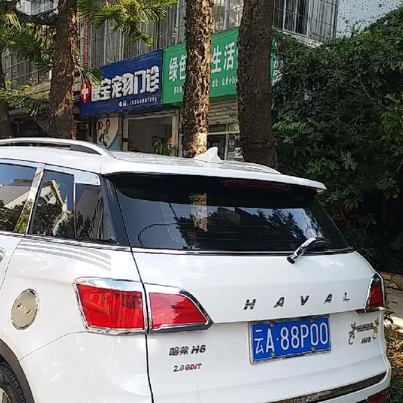 康宝宠物门诊:昆明市盘龙区金星小区附近