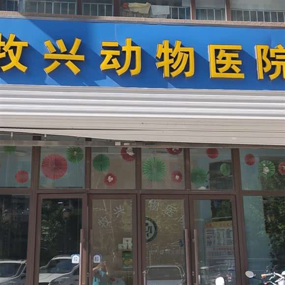 牧兴动物医院眼科中心(玫瑰湾店):石家庄市裕华区塔冢附近