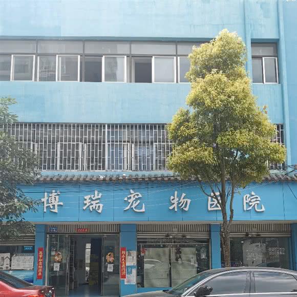 博瑞宠物医院:昆明市盘龙区新迎小区附近