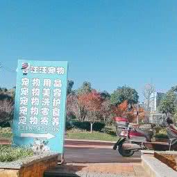 汪汪宠物:昆明市盘龙区云南农业大学附近