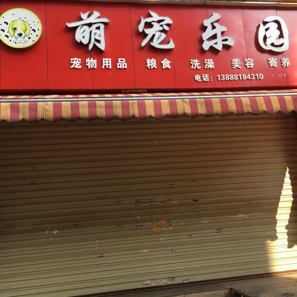萌宠乐园:昆明市盘龙区虹桥车市附近