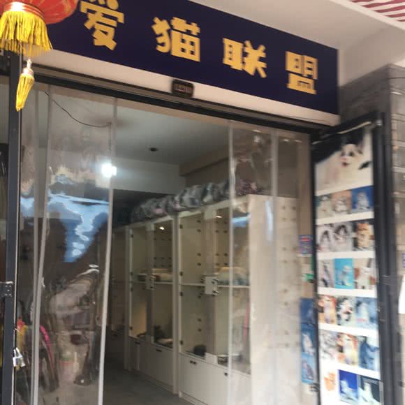 爱狗联盟:昆明市盘龙区白龙新区附近