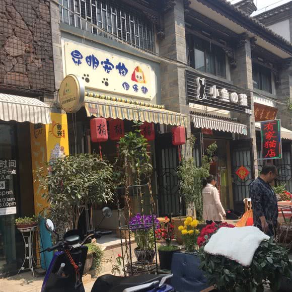 昆明宠物俱乐部:昆明市盘龙区白龙新区附近
