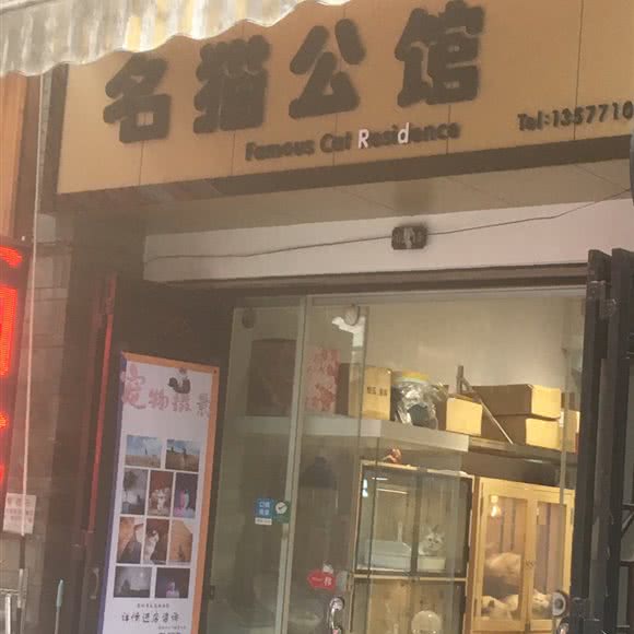 名猫公馆:昆明市盘龙区白龙新区附近