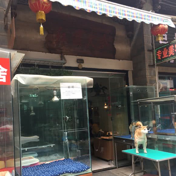 红旗犬舍:昆明市盘龙区白龙新区附近