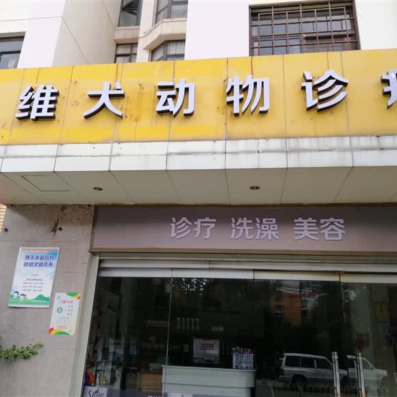 维犬动物诊疗:昆明市盘龙区白龙新区附近