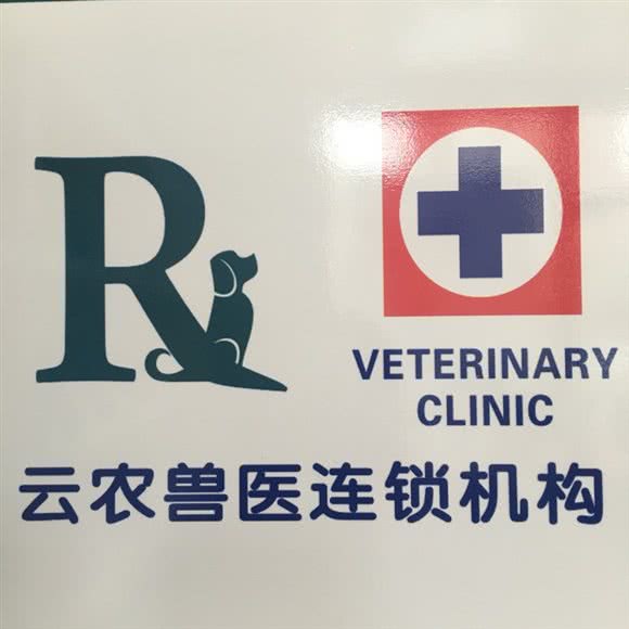 云农瑞宝宠物诊所:昆明市盘龙区金泉小区附近