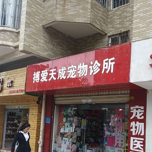 博爱天成宠物诊所:昆明市官渡区昆明站附近