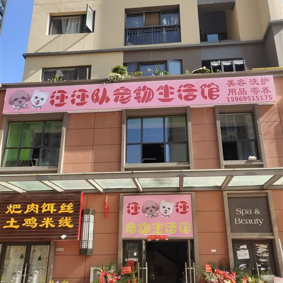 汪汪队宠物生活馆:昆明市官渡区新亚洲体育城附近