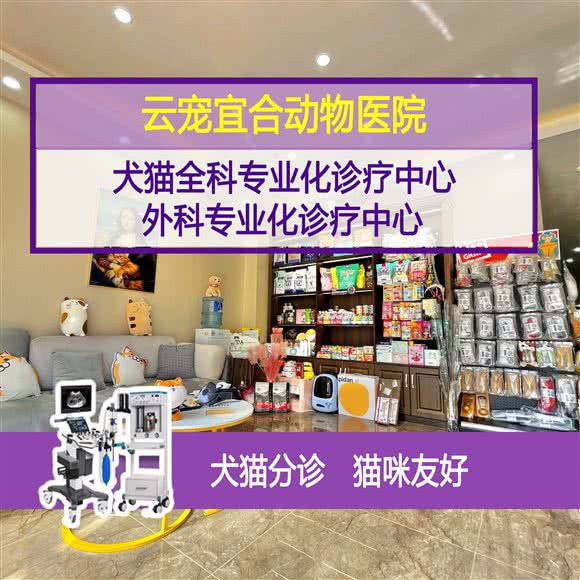 云宠宜合动物医院:昆明市官渡区新亚洲体育城附近