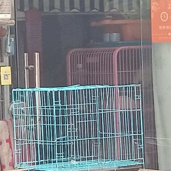 萌宝宠物生活馆:昆明市官渡区经开区附近