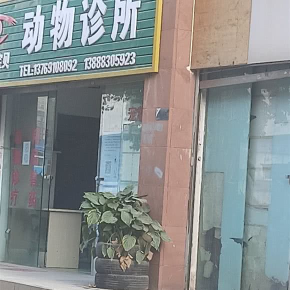动物诊所:昆明市官渡区官渡古镇附近