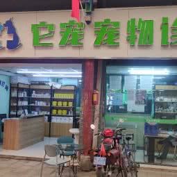 它宠宠物诊所:昆明市官渡区官渡古镇附近