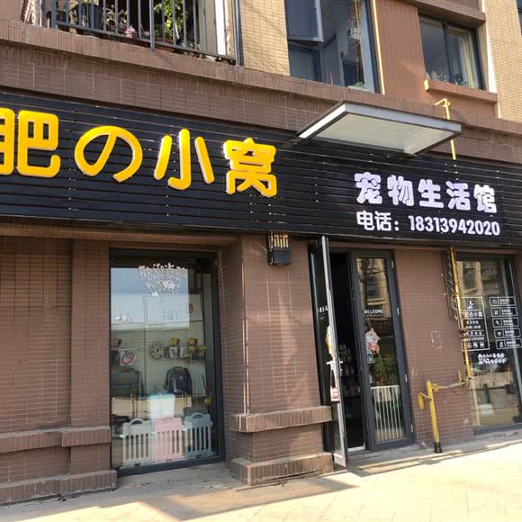 肥肥の小窝宠物生活馆:昆明市官渡区国际会展中心附近
