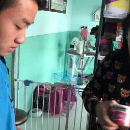 小咪喳宠物诊所:昆明市西山区滇池附近