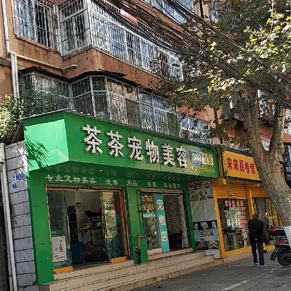 茶茶宠物美容:昆明市西山区船房附近
