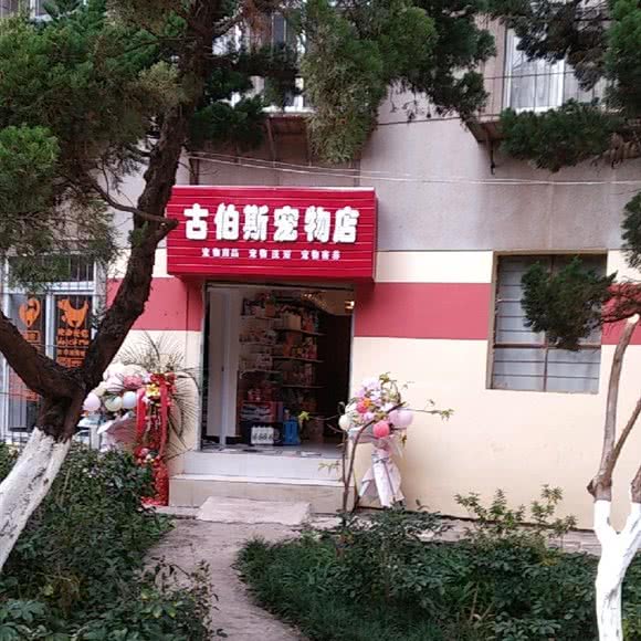 古伯斯面包店:昆明市西山区棕树营附近