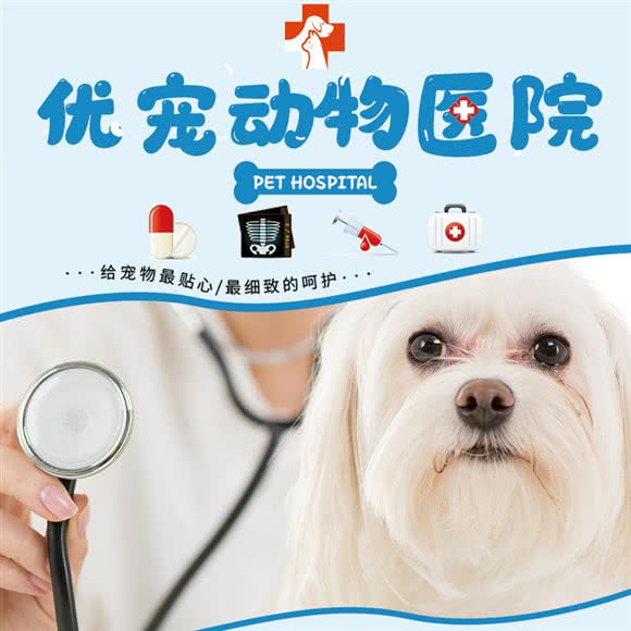 优宠动物医院:昆明市西山区前卫西路附近