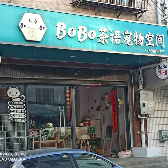 BOBO茶语宠物空间:昆明市西山区马街/新西部客运站附近