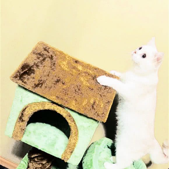 格蕾喵屋 猫狗生活馆:昆明市西山区白马附近