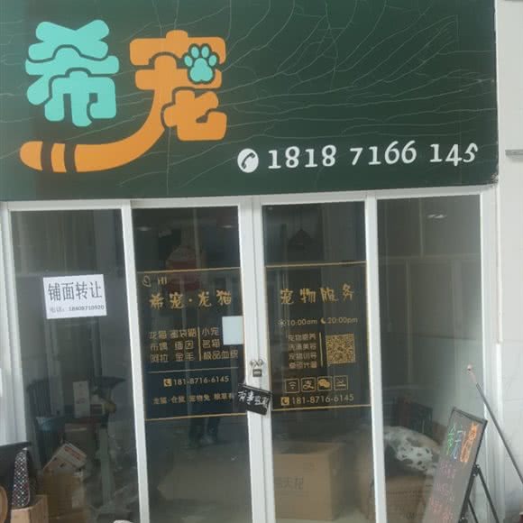 希宠:昆明市西山区西山区政府附近