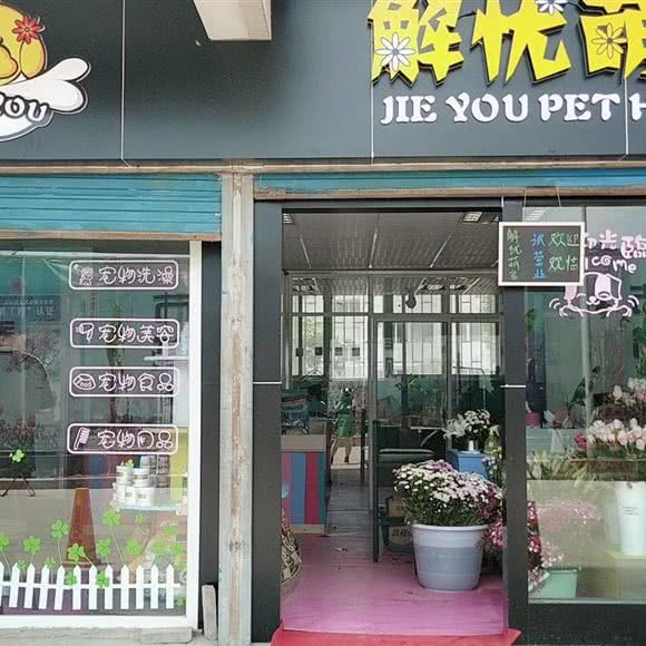 解忧萌宠:昆明市西山区西山区政府附近