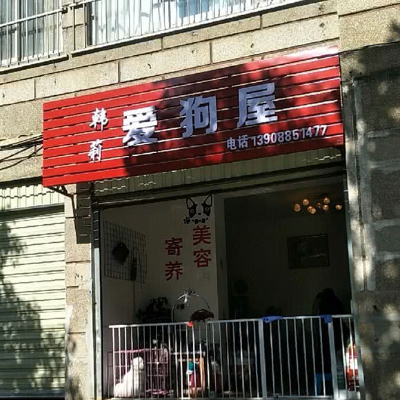 韩莉爱狗屋:昆明市西山区西山区政府附近
