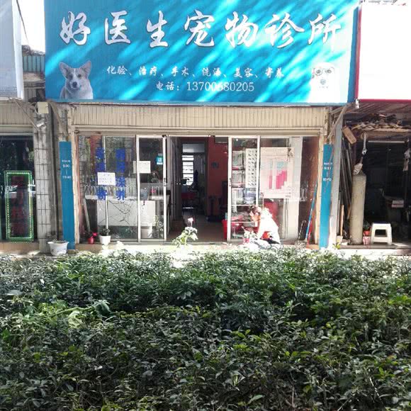 好医生宠物诊所:昆明市西山区西山区政府附近