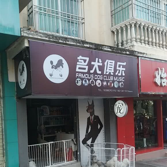名犬俱乐:昆明市东川区白云街附近