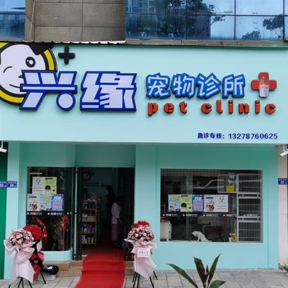 兴缘宠物诊所(工人文化宫店):曲靖市麒麟区麒麟花园附近