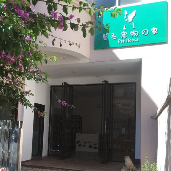 卷毛宠物之家:曲靖市麒麟区西苑小区附近