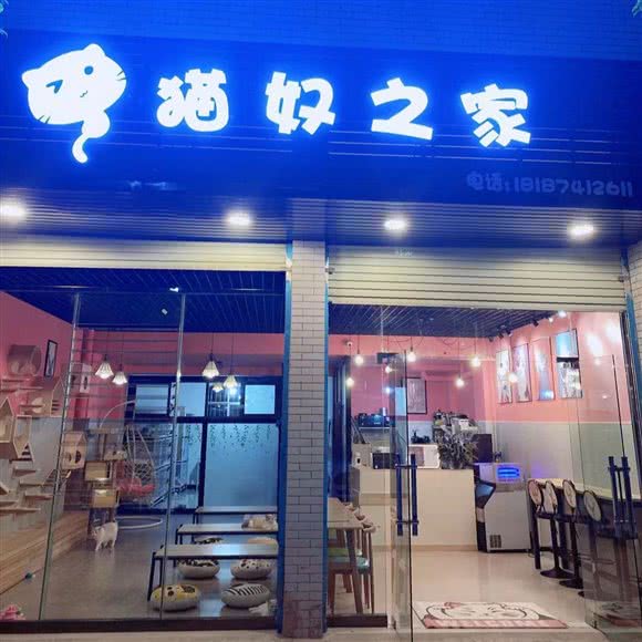 猫奴之家:曲靖市麒麟区师范学院附近