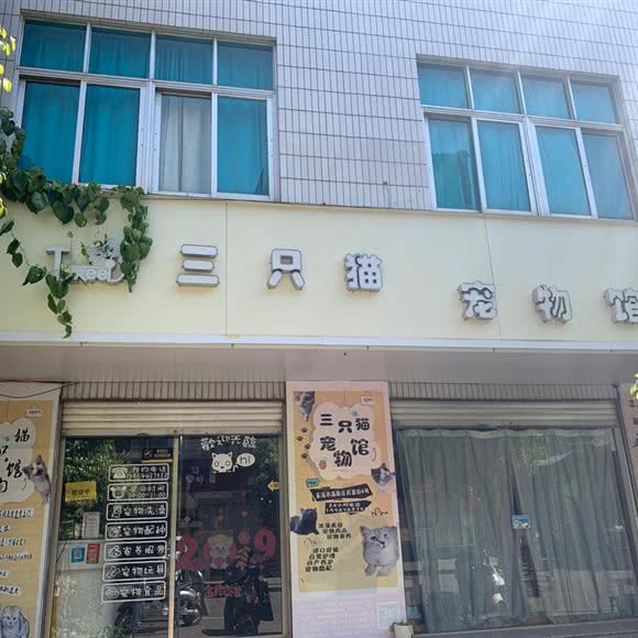 三只猫宠物馆:玉溪市红塔区葫芦园附近