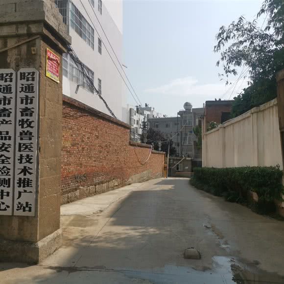 昭通市畜牧兽医站:昭通市昭阳区清官亭附近