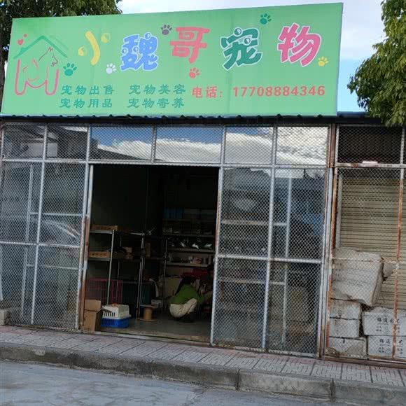 小魏哥宠物:丽江市古城区丽江古城附近