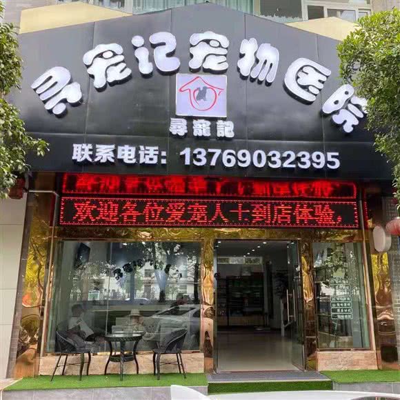 寻宠记宠物医院:丽江市古城区丽江古城附近