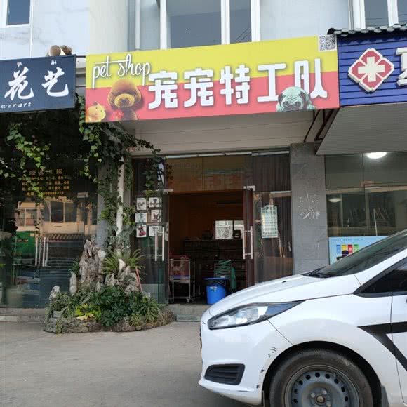 宠宠特工队:丽江市古城区丽江古城附近