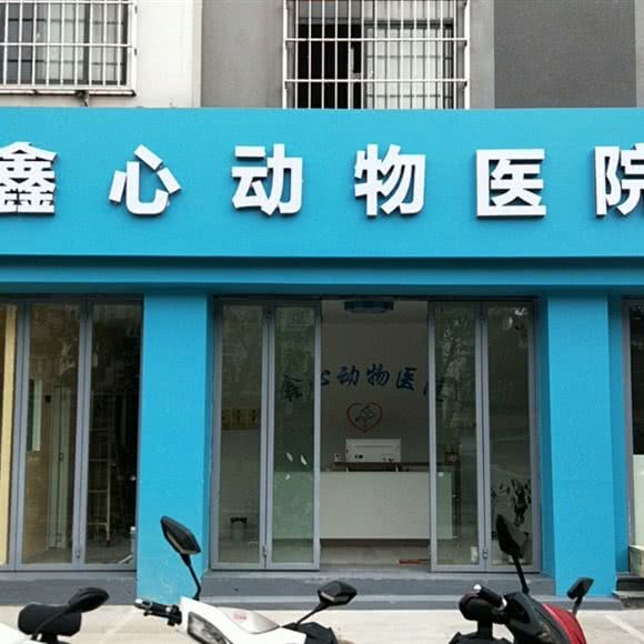 鑫心动物医院:普洱市思茅区北市区附近