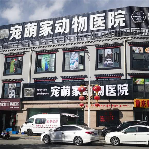 宠萌家动物医院:拉萨市城关区金珠西路附近