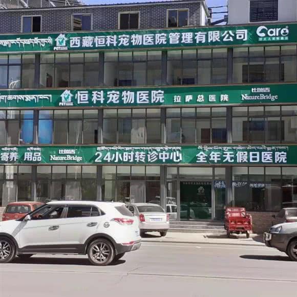 恒科宠物医院:拉萨市城关区市政府附近