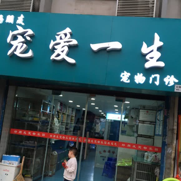 好朋友宠爱一生宠物门诊:西安市新城区韩森寨附近