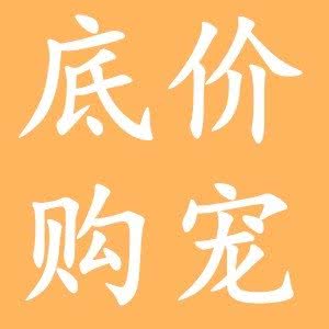 宠物狗猫售卖?宠物繁殖场直营总店犬舍猫舍4s店:西安市碑林区钟楼/鼓楼附近