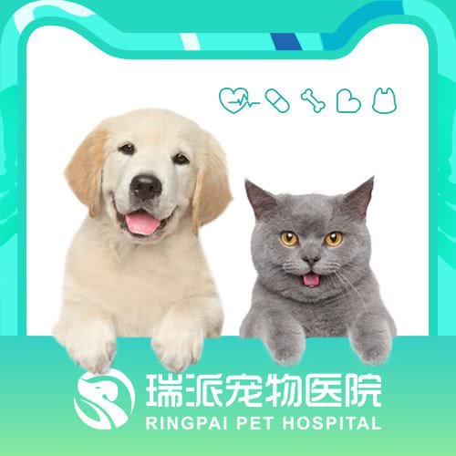 瑞派宠物医院·24H诊疗中心(太乙路店):西安市碑林区交大东校区/理工大附近