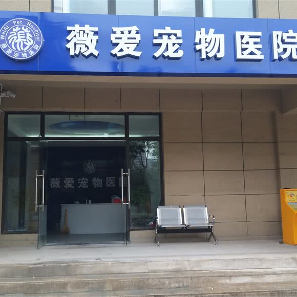 薇爱动物医院:西安市碑林区交大东校区/理工大附近