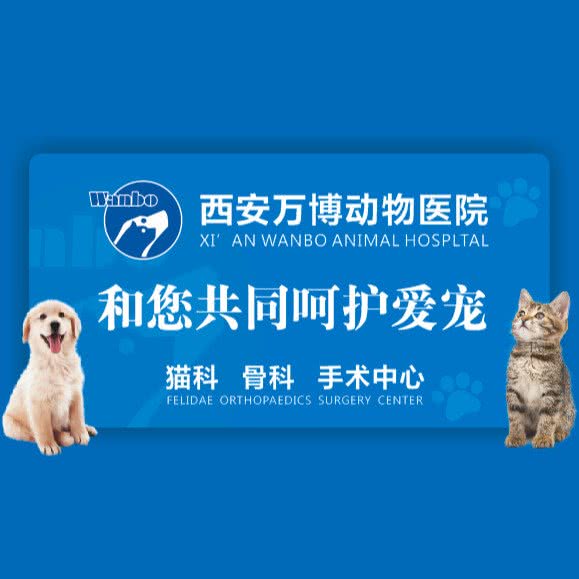 万博宠物医院(交大店):西安市碑林区交大东校区/理工大附近