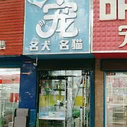 心宠:西安市碑林区小雁塔/南稍门附近